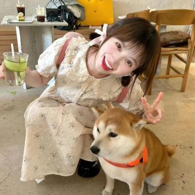 禁域之恋
