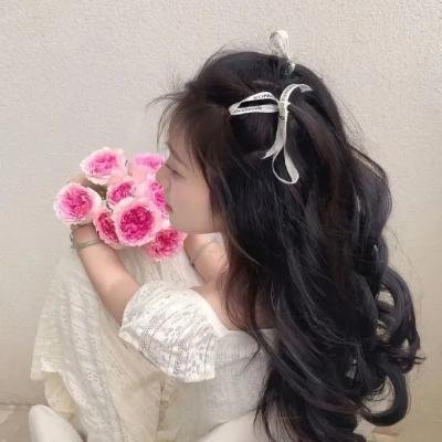 风骚律师