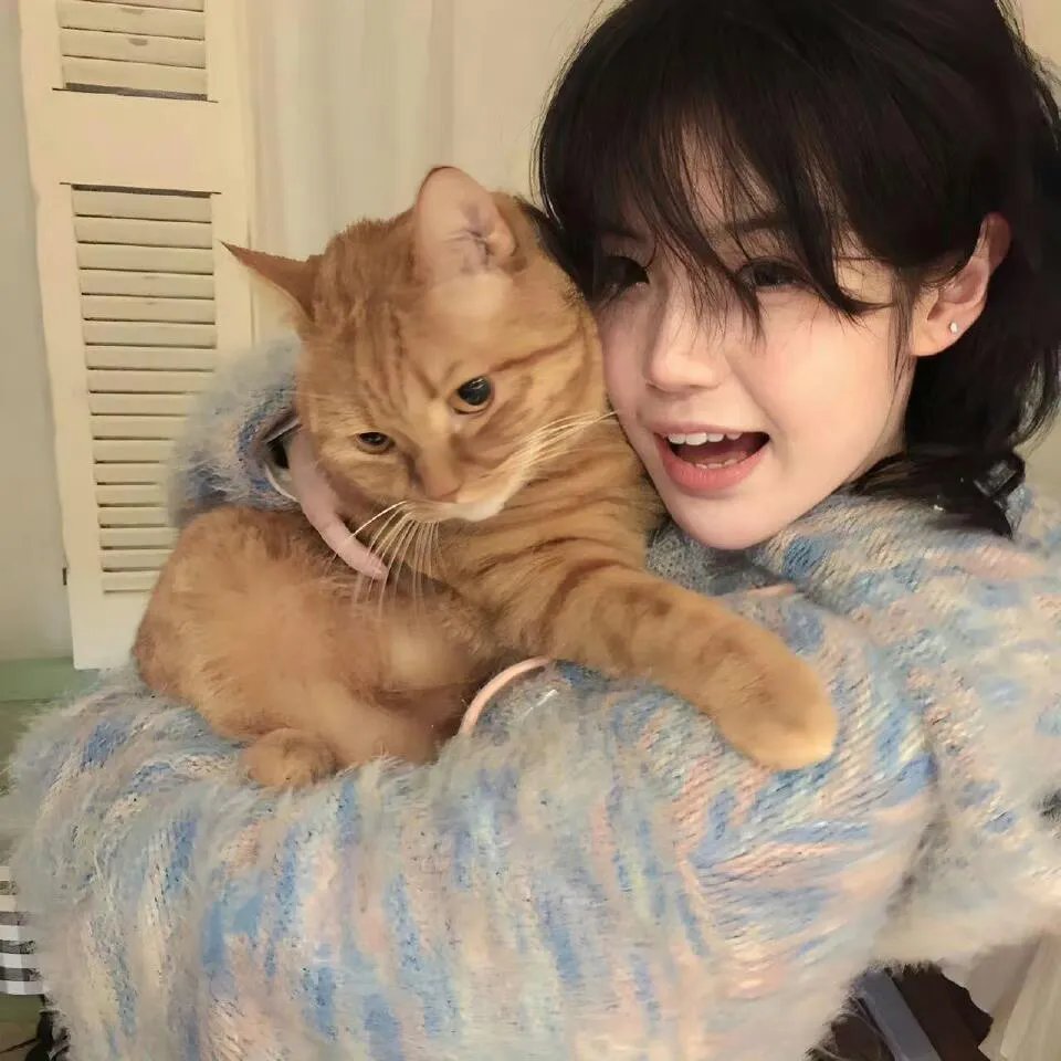 罗莎夫人